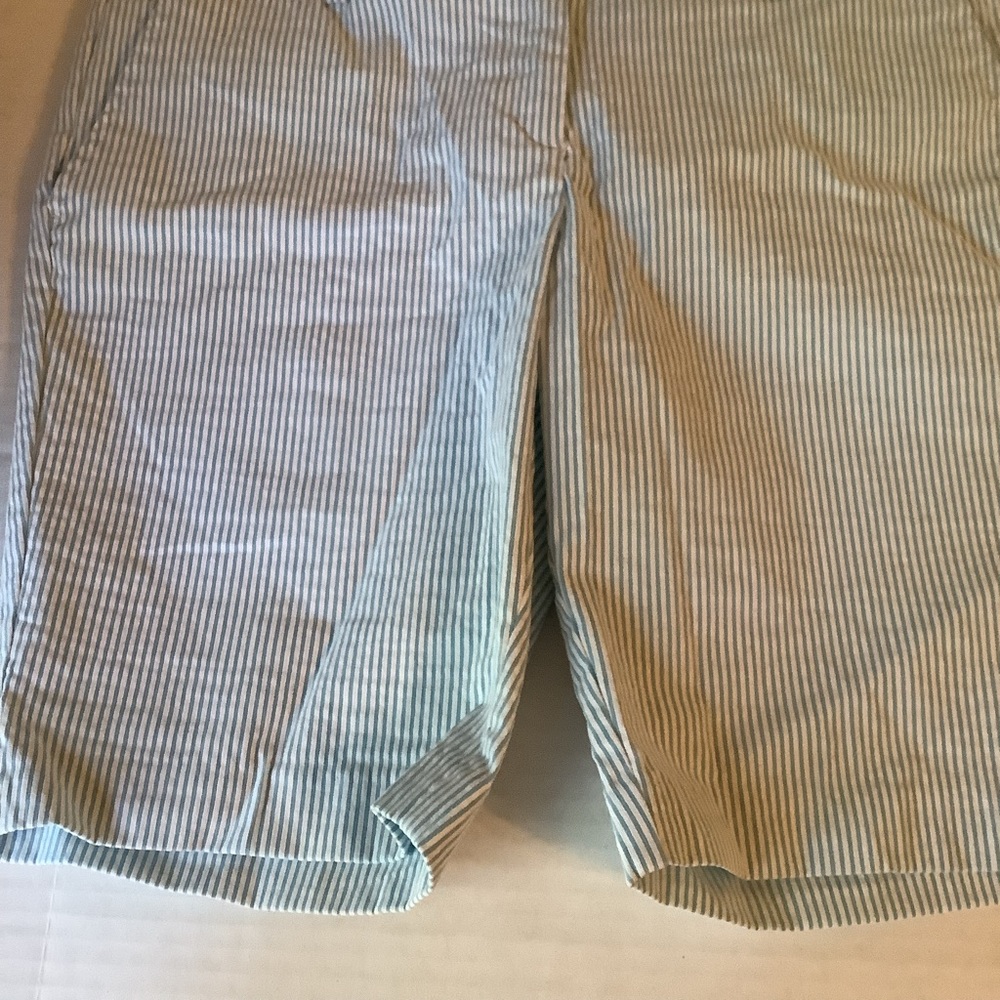 Dalia City Fit Striped Shorts Size 4 New - Picture 6 of 15